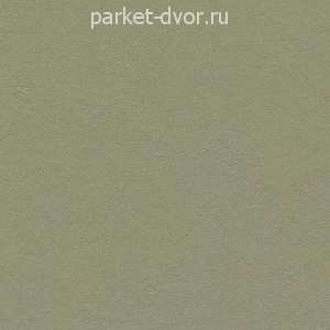 Виниловый ламинат Forbo Marmoleum Click 300х300 333355 Rosemary Green