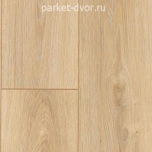 Ламинат Alsafloor 12.0 Solid Plus S514 Адамс (Намюр)
