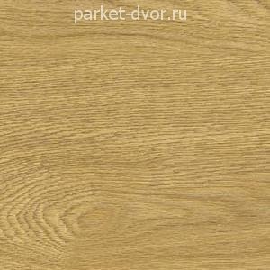Пробковые полы Corkstyle Wood XL Oak Deluxe Glue
