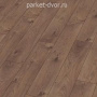 Ламинат Jangal by Krono Swiss 3591/8591 Дуб Атлас Кофейный