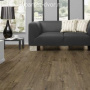 Ламинат Kronostar Eco-Tec D2079 Дуб Миллениум