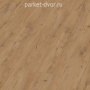 Ламинат Kronotex Exquisit Plus D3572 D4715 Каштан Бордо