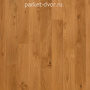 Паркетная доска Polarwood Дуб Premium 138 Noble Brown