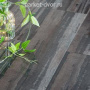 Ламинат Praktik Royal Lack 8 81158 Виноградный глянец