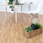 SPC ламинат Alpine Floor Classic Eco 152-9 Бук