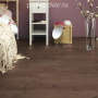 Ламинат Jangal by Krono Swiss 3591/8591 Дуб Атлас Кофейный