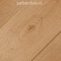 Виниловый ламинат SPC CM Floor ScandiWood 11 Дуб Скандик светлый with backing