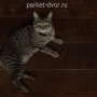 Паркетная доска Amber Wood Классика Ясень Кофе Браш