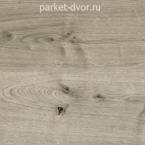 Пробковые полы Corkstyle Wood Oak Grey Glue