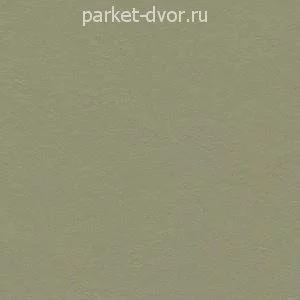 Виниловый ламинат Forbo Marmoleum Click 300х300 333355 Rosemary Green