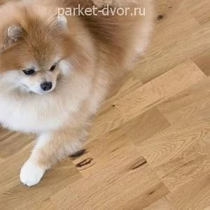 Паркетная доска Amber Wood Ретро Дуб Масло Бесцветный