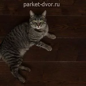 Паркетная доска Amber Wood Классика Ясень Кофе Браш