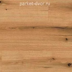 Ламинат Kaindl Natural Touch 8 Standard К5573 RI Дуб Coast